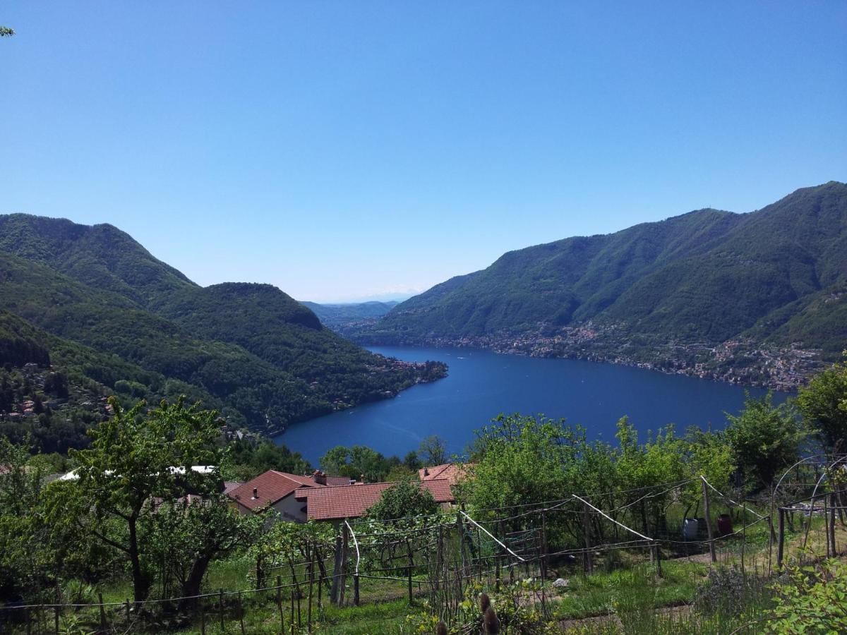 B&B Le Magnolie Faggeto Lario Eksteriør bilde