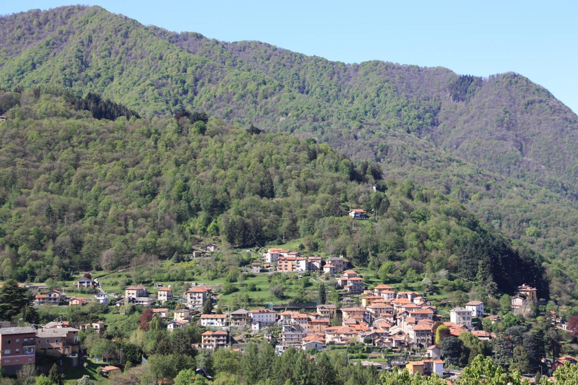 B&B Le Magnolie Faggeto Lario Eksteriør bilde